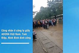 Công Ty Giày Da Adora Tam Điệp Ninh Bình