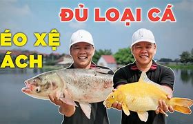 Hồ Câu Huyện Đội Hóc Môn