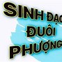 Mắt Phượng Ngón Tay