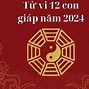 Năm 2024 Những Con Giáp Nào Tam Tai